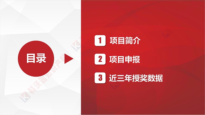 中國輕工業(yè)聯(lián)合會(huì )科學(xué)技術(shù)獎_01