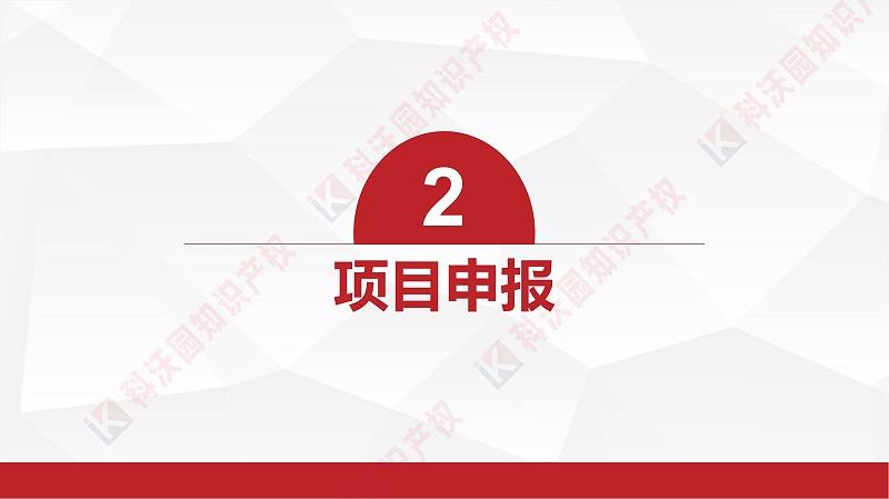 中國輕工業(yè)聯(lián)合會(huì )科學(xué)技術(shù)獎_05