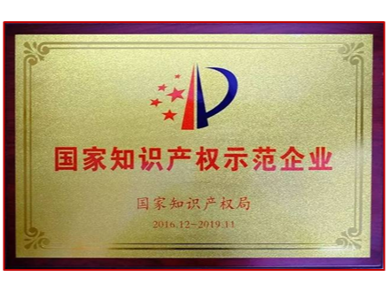 國家知識產(chǎn)權示范企業(yè)