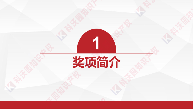中國產(chǎn)學(xué)研合作創(chuàng  )新與促進(jìn)獎_02