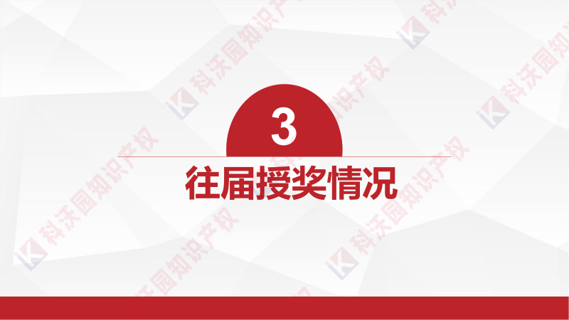 中國產(chǎn)學(xué)研合作創(chuàng  )新與促進(jìn)獎_09