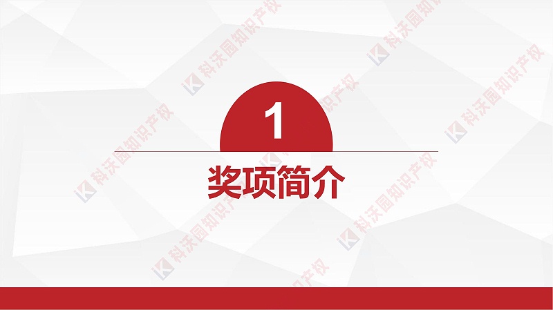 中國商業(yè)聯(lián)合會(huì )科學(xué)技術(shù)獎_02
