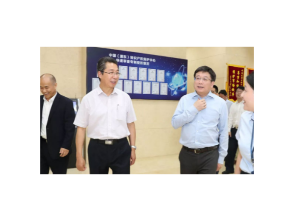 申長(cháng)雨調研上海浦東新區知識產(chǎn)權工作