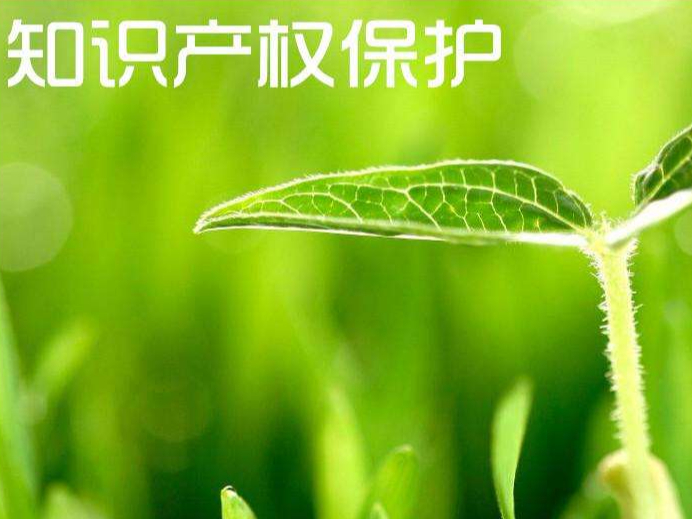 綠水青山就是金山銀山，綠色專(zhuān)利助推我國生態(tài)環(huán)境保護