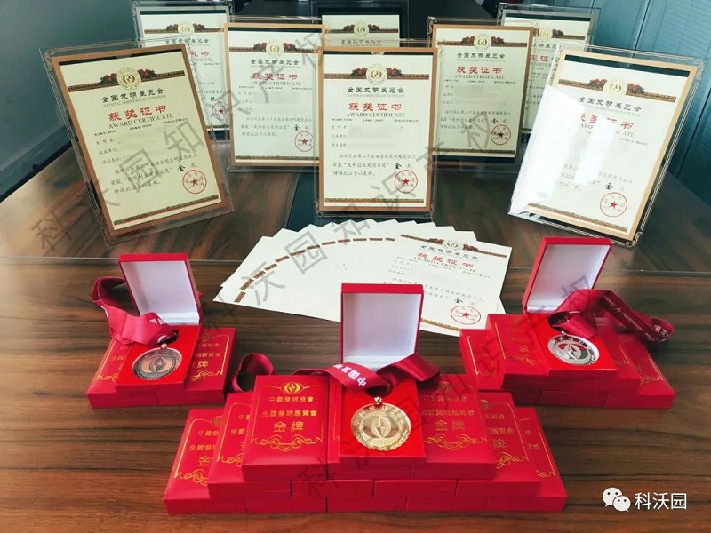 項目獎證書(shū)