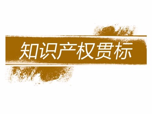 從知識產(chǎn)權貫標視角看初創(chuàng  )科技企業(yè)知識產(chǎn)權風(fēng)險防范
